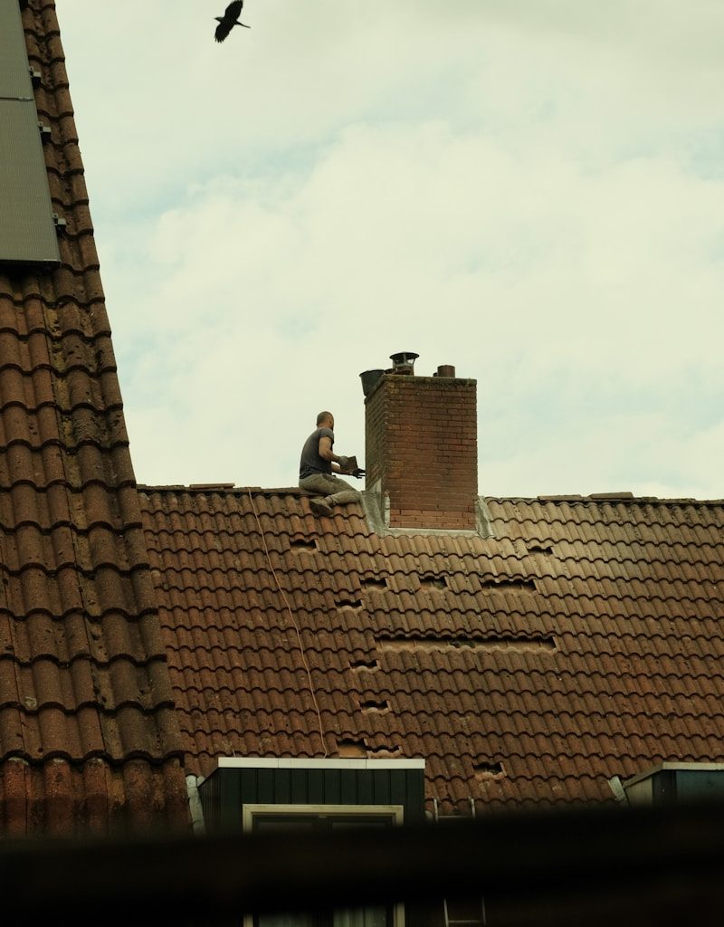 a man on a roof with a bird flying overhead