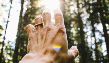 person's hang reaching out sunlight