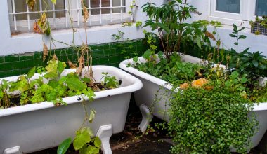 Houten balije in een tuin gevuld met water, omgeven door planten