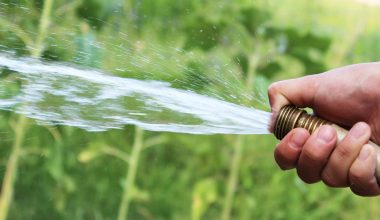 Iemand geeft water aan een tuin met een slang tijdens warme droge zomerdagen