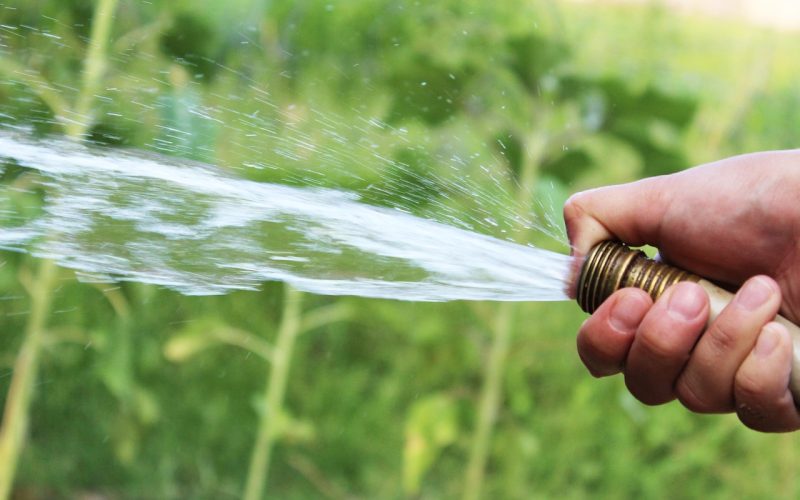 Iemand geeft water aan een tuin met een slang tijdens warme droge zomerdagen