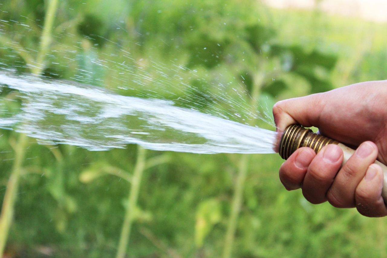 Iemand geeft water aan een tuin met een slang tijdens warme droge zomerdagen