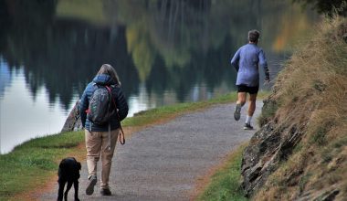 Persoon wandelt buiten in de ochtend tijdens een bewolkte herfstdag